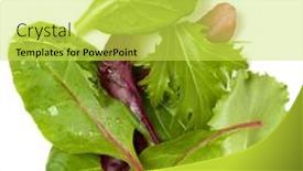  Presentation with leaves flat lay - Audience pleasing PPT theme consisting of different-salad-leaves-handful-isolated backdrop and a yellow colored foreground