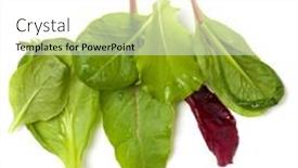  Presentation with leaves flat lay - Presentation design enhanced with different-salad-leaves-handful-isolated background and a  colored foreground