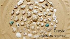  Presentation with sea shells - Audience pleasing slide set consisting of different sea shells collection on the sand backdrop and a coral colored foreground