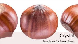  Presentation with different - Beautiful PPT theme featuring different side view of hazelnut backdrop and a coral colored foreground