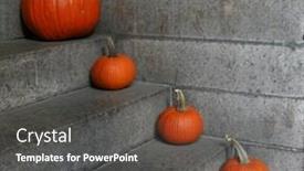  Presentation with steps - Presentation theme consisting of different sized pumpkins on steps background and a dark gray colored foreground