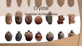  Presentation with insect - Presentation theme enhanced with different species of stick insect background and a coral colored foreground