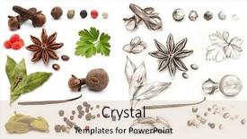  Presentation with herbs - PPT theme enhanced with different spices and herbs isolated background and a  colored foreground