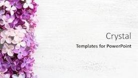  Presentation with flowers border - PPT layouts consisting of different-tiny-flowers-of-lilac background and a white colored foreground
