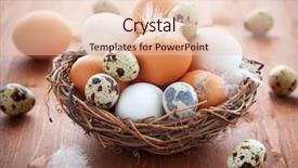  Presentation with different - Colorful slide deck enhanced with different types of eggs backdrop and a lemonade colored foreground