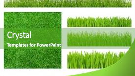  Presentation with grass - Slides enhanced with different types of green grass background and a shamrock green colored foreground