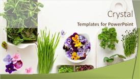  Presentation with seed germination - Audience pleasing PPT theme consisting of different-types-of-organic-microgreens backdrop and a cream colored foreground