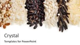  Presentation with rice - Beautiful PPT layouts featuring different types of rice backdrop and a white colored foreground