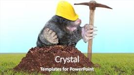  Presentation with agriculture pest - Amazing slides having digging on your garden pest backdrop and a tawny brown colored foreground