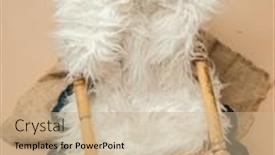  Presentation with newborn - Theme having digital-backdrop-or-background background and a coral colored foreground