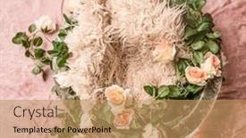  Presentation with newborn - Presentation featuring digital-backdrop-or-background background and a coral colored foreground