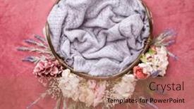  Presentation with high quality - Presentation consisting of digital-backdrop-or-background background and a coral colored foreground