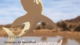  Presentation with digital image - Slide set with digital-composite-image-of-fish background and a coral colored foreground