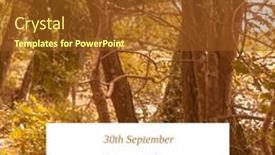  Presentation with save trees - Slide deck consisting of digital-composite-of-trees-growing background and a tawny brown colored foreground