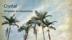  Presentation with palm - Presentation having avicenna 980-1037 a persian background and a  colored foreground.