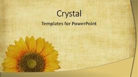  Presentation with abstract paint brush texture art - Colorful theme enhanced with digitization paper - sunflower with set of abstract backdrop and a blonde colored foreground