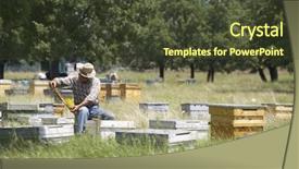  Presentation with families - Colorful presentation enhanced with diligence details - beekeeper with his families backdrop and a tawny brown colored foreground