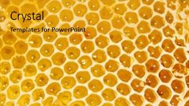  Presentation with cells - Presentation with diligence details - cells of the honeycomb background and a gold colored foreground