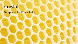  Presentation with cells - Presentation with diligence details - honey cells texture background and a  colored foreground