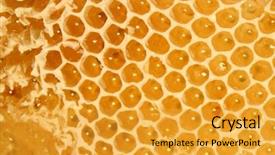 Presentation with honey whiskey - Beautiful theme featuring diligence details - honey comb backdrop and a  colored foreground
