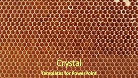  Presentation with insect macro of mosquito aedes - PPT theme with diligence details - macro of honeycell background and a tawny brown colored foreground