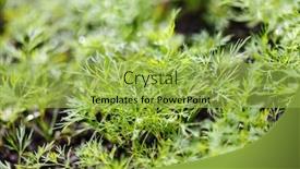  Presentation with garden - Slides consisting of dill-in-the-garden background and a yellow colored foreground