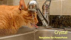  Presentation with drinking water - Cool new PPT theme with diluciones - funny ginger cat drinking water backdrop and a tawny brown colored foreground