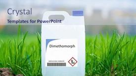  Presentation with diseases - PPT layouts having dimethomorph-systemic-fungicide-used background and a sky blue colored foreground