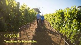  Presentation with old couple walking - Slides having diminishing - rear view of couple walking background and a  colored foreground