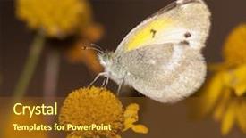  Presentation with renaissance mona lisa - Amazing presentation design having rosses - view over ross castle backdrop and a tawny brown colored foreground