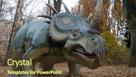  Presentation with dinosaur - PPT theme having dino - styracosaurus styracosaurus albertensis dinosaur background and a tawny brown colored foreground