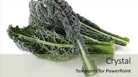  Presentation with italian - Beautiful presentation theme featuring nero - black kale italian kale tuscan backdrop and a seafoam green colored foreground