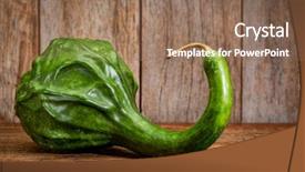  Presentation with dinosaur - Theme with dianousaurs - dinosaur squash against rustic wood background and a coral colored foreground