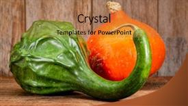  Presentation with barn wood - Slides consisting of dianousaurs - green dinosaur and red kuri background and a coral colored foreground