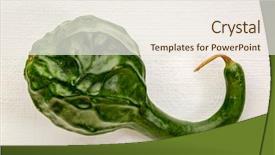  Presentation with dinosaur - Beautiful slides featuring dianousaurs - green dinosaur squash on white backdrop and a sky blue colored foreground