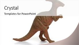  Presentation with dinosaur - Colorful slide set enhanced with dino - plastic dinosaur toy isolated backdrop and a white colored foreground