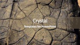  Presentation with dinosaur - Audience pleasing slides consisting of dinosaur footprints rock texture background backdrop and a coral colored foreground