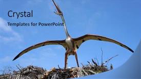  Presentation with dinosaur - Colorful presentation enhanced with dinosaur in jurassic park backdrop and a light blue colored foreground