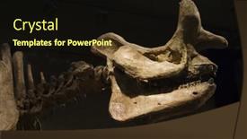  Presentation with dinosaur - Amazing presentation design having dinosaur-skeleton-under-moody-lighting backdrop and a wine colored foreground