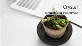  Presentation with sports table tennis two ping - Cool new presentation theme with dior - dionaea muscipula in pot backdrop and a white colored foreground