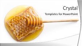  Presentation with drop - Beautiful presentation theme featuring dipper honey drop and honeycomb backdrop and a white colored foreground