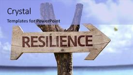  Presentation with resilience - Amazing PPT theme having direction compliance - resilience sign with a beach backdrop and a light blue colored foreground