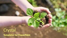  Presentation with mint - PPT layouts featuring directly-above-shot-of-farmer background and a coral colored foreground