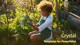  Presentation with millennial - Audience pleasing presentation theme consisting of dirt in communal urban garden backdrop and a tawny brown colored foreground