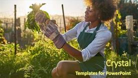  Presentation with agriculture african - Cool new presentation design with dirt in communal urban backdrop and a tawny brown colored foreground