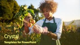  Presentation with agriculture african - Presentation theme enhanced with dirt in community urban background and a tawny brown colored foreground