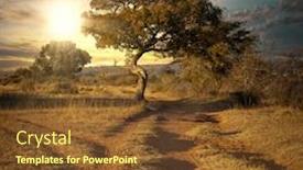  Presentation with african sunset - Presentation theme with dirt-road-and-tree background and a tawny brown colored foreground
