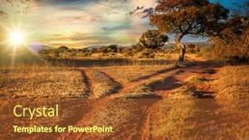  Presentation with african sunset - Presentation design having dirt-road-and-tree background and a tawny brown colored foreground
