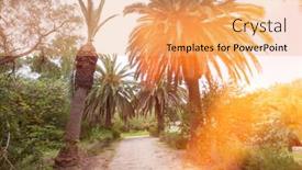  Presentation with date palm - Theme having dirt-road-between-date-palm background and a coral colored foreground