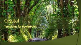  Presentation with jungle - Amazing PPT layouts having dirt road in remote jungle backdrop and a tawny brown colored foreground